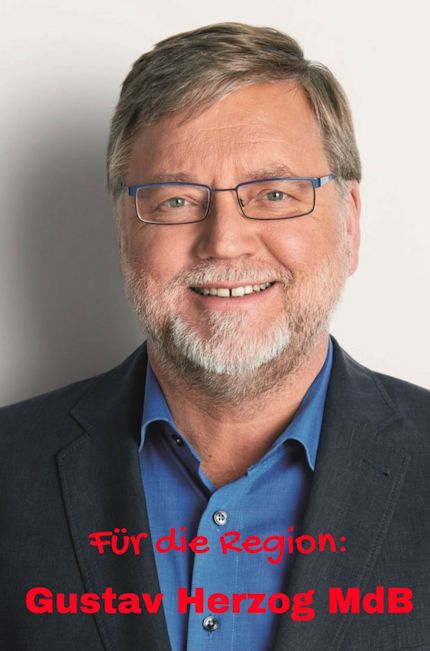 Gustav Herzog